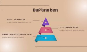 So entwickeln sich Sorgenta Parfüme zeitlich die Duftpyramide