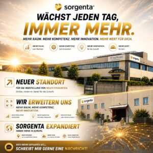 sorgenta wächst immer weiter