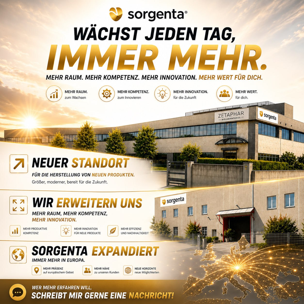 Sorgenta wächst in Europa - der richtige Zeitpunkt zum starten